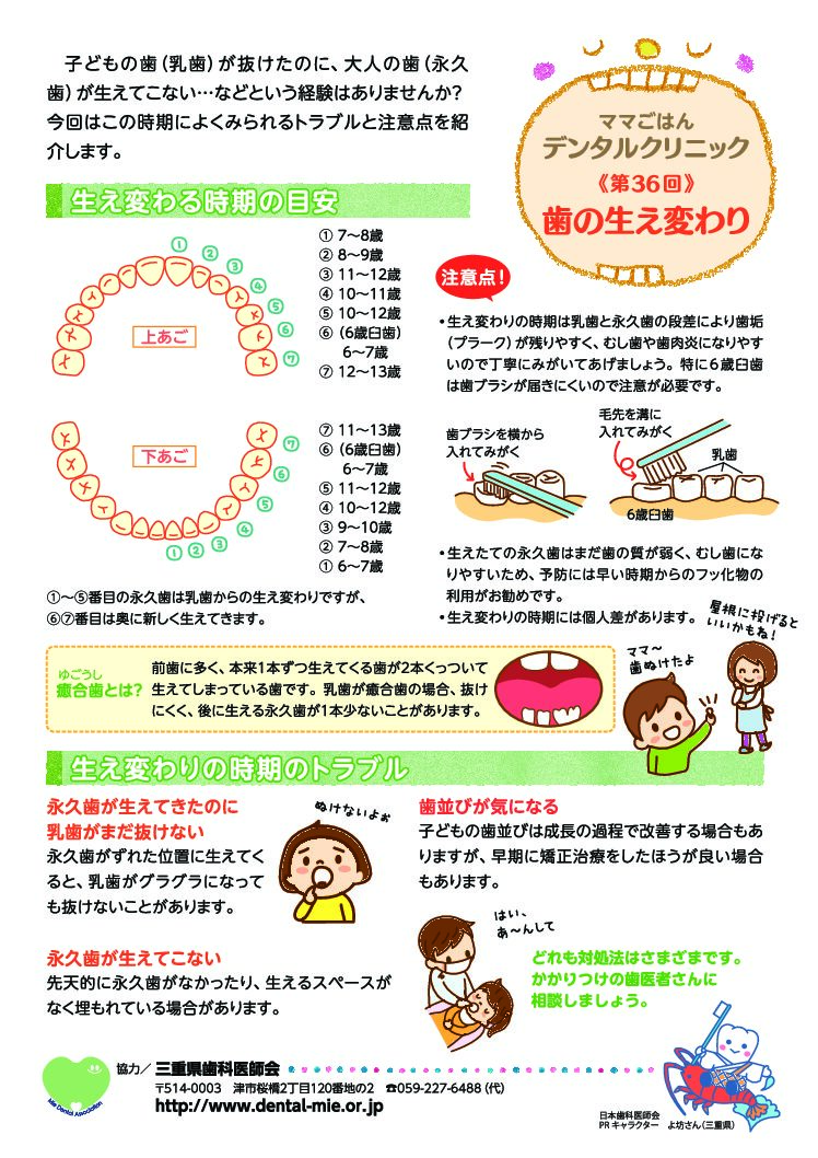 第３６回