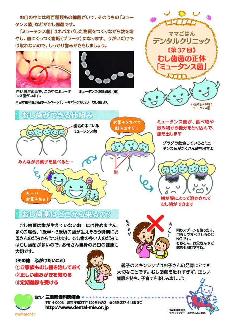 第３７回