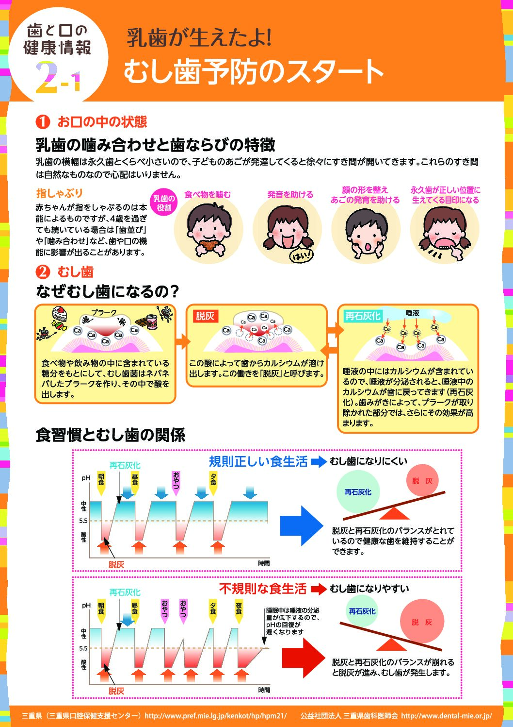 乳歯が生えたよ！むし歯予防のスタート